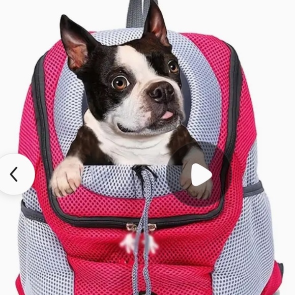 Dog Backpack Carrier - Picture 2 of 5